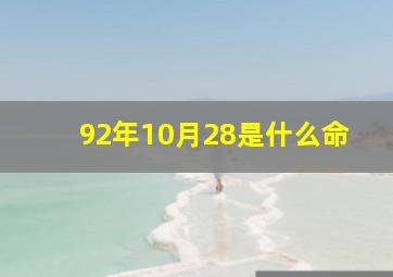 92年10月28是什么命