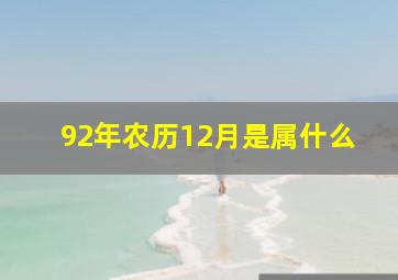 92年农历12月是属什么