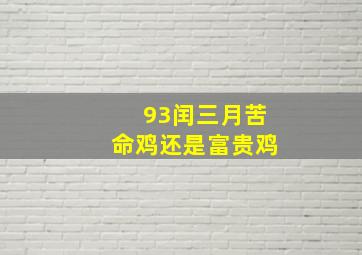 93闰三月苦命鸡还是富贵鸡