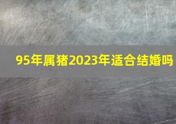 95年属猪2023年适合结婚吗