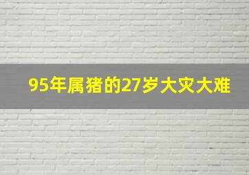 95年属猪的27岁大灾大难