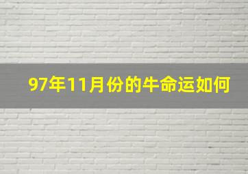 97年11月份的牛命运如何