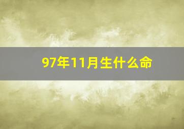 97年11月生什么命