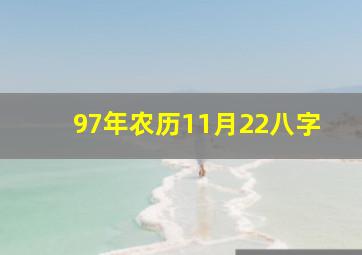 97年农历11月22八字