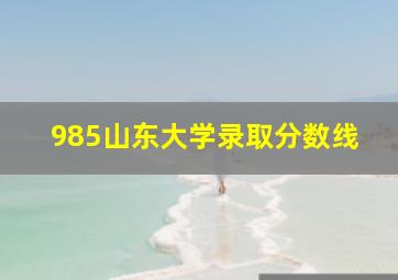 985山东大学录取分数线