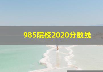 985院校2020分数线