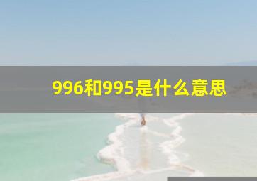 996和995是什么意思