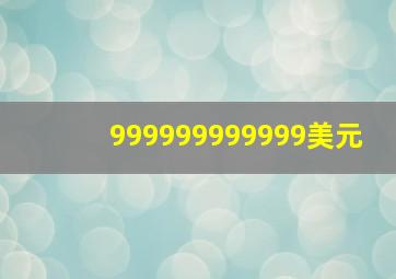 999999999999美元