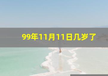 99年11月11日几岁了