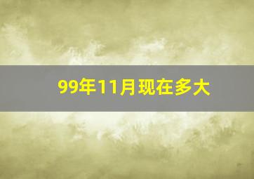 99年11月现在多大