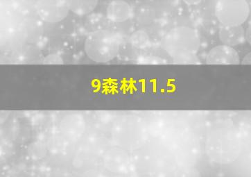 9森林11.5