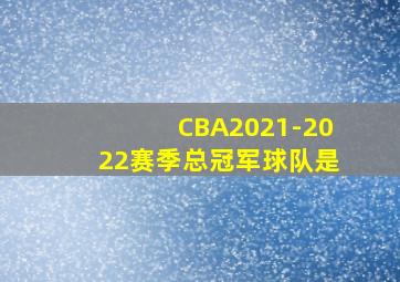 CBA2021-2022赛季总冠军球队是