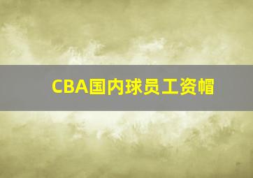 CBA国内球员工资帽