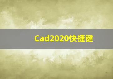 Cad2020快捷键