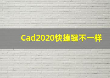 Cad2020快捷键不一样