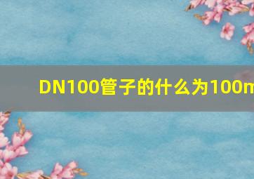 DN100管子的什么为100mm