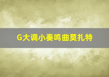 G大调小奏鸣曲莫扎特