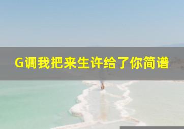 G调我把来生许给了你简谱