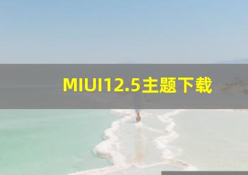 MIUI12.5主题下载