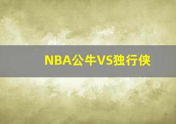 NBA公牛VS独行侠