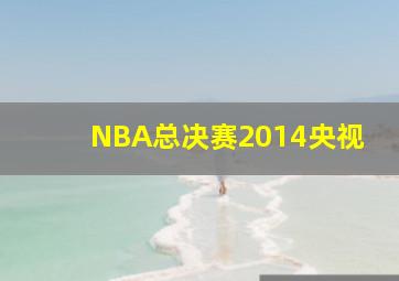 NBA总决赛2014央视