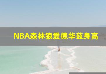 NBA森林狼爱德华兹身高