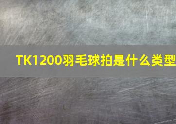 TK1200羽毛球拍是什么类型