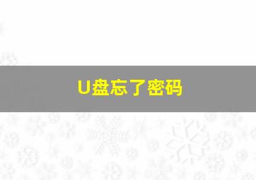 U盘忘了密码