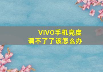 VIVO手机亮度调不了了该怎么办