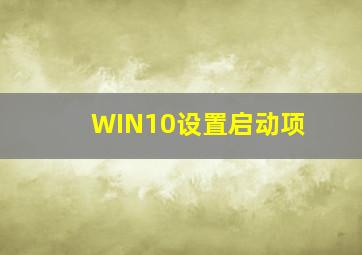 WIN10设置启动项