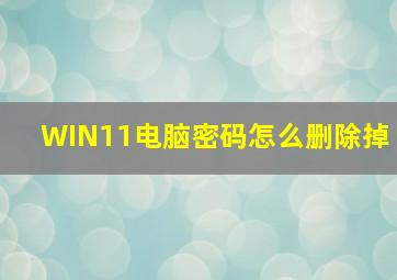 WIN11电脑密码怎么删除掉