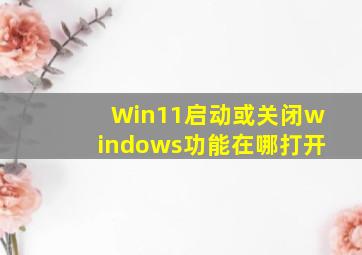 Win11启动或关闭windows功能在哪打开