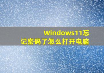 Windows11忘记密码了怎么打开电脑