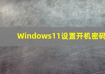 Windows11设置开机密码