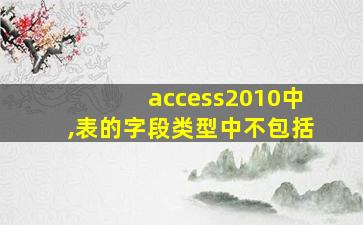 access2010中,表的字段类型中不包括