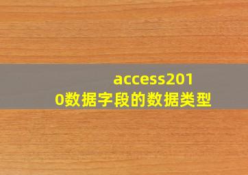 access2010数据字段的数据类型