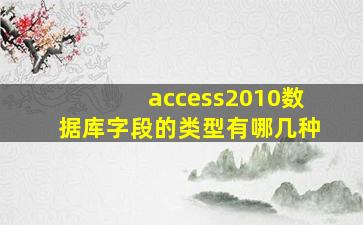 access2010数据库字段的类型有哪几种