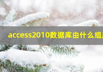 access2010数据库由什么组成