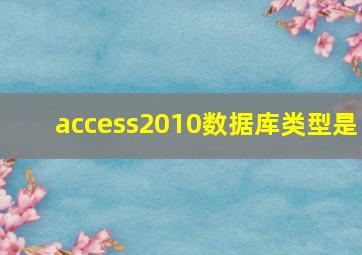 access2010数据库类型是