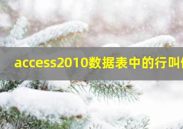 access2010数据表中的行叫做