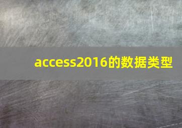 access2016的数据类型