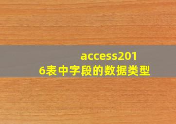 access2016表中字段的数据类型