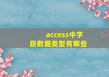 access中字段数据类型有哪些