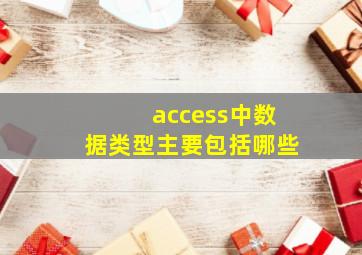 access中数据类型主要包括哪些