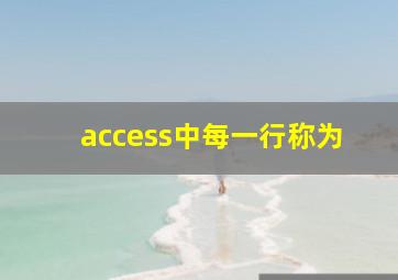 access中每一行称为