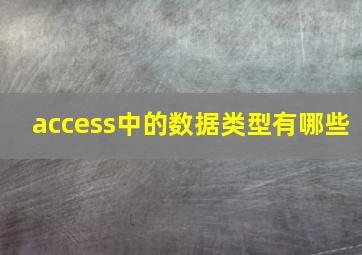 access中的数据类型有哪些