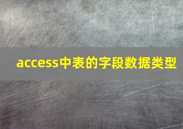 access中表的字段数据类型