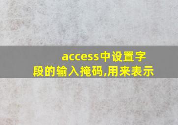 access中设置字段的输入掩码,用来表示