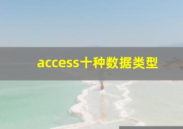 access十种数据类型