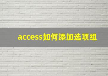 access如何添加选项组